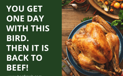 Happy Thanksgiving, Beef Snobs